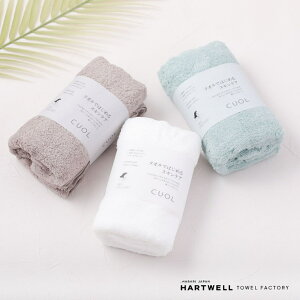 ^I XoX^I Mtg z n[gEF  oX^I   킢  Ags[  E ^Ił͂߂XLPA  34×110cm  zCg uE