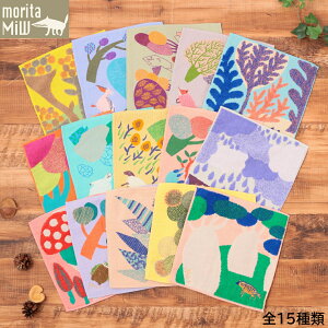 nJ` fB[X nh^I K[[ pC K[[nJ` ^InJ` morita MiW / XcMiW × 틴D R{ uh  100 K[[n hJ   킢  