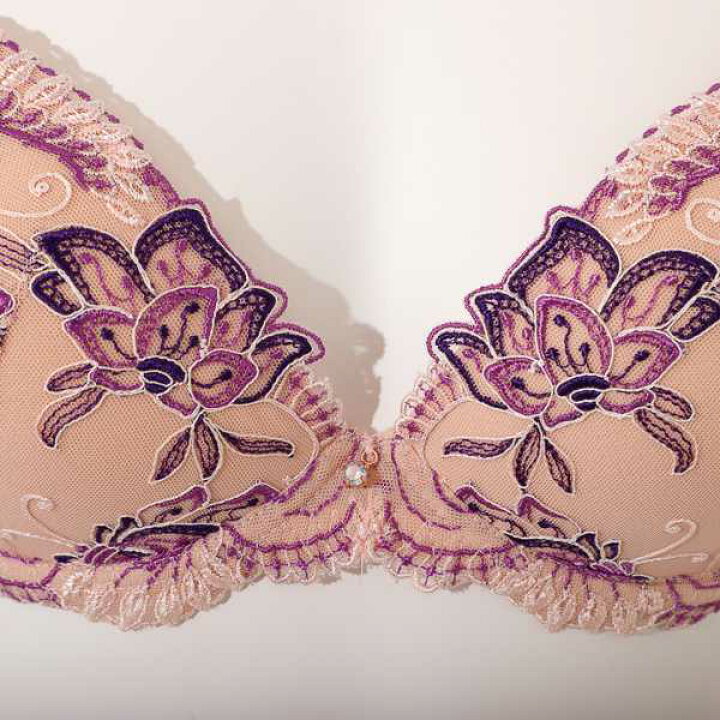 楽天市場】10%OFF セール リズシャルメル LISE CHARMEL ブラジャー 