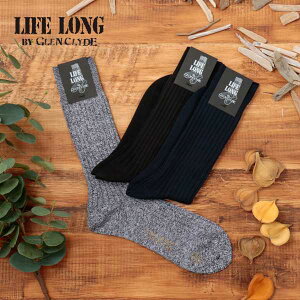 yz LIFELONG CtO C   \bNX Y hX\bNX u rWlX ϋv ivۏ { lCr[ ubN ubN Ll002 TS-5