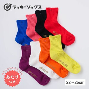 AN\bNX C fB[X 100 uh    Xj[J[\bNX ߕtȂ J[\bNX Vv  Rbg 킢 v[g Mtg 22-25cm bL[\bN