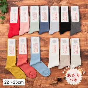 �C�� �\�b�N�X ���b�L�[�\�b�N�X LUCKY SOCKS ���C�g���u�\�b�N�X Light Rib Socks ���f�B�[�X �I�[���V�[�Y�� �V���v�� ���K �R�b�g�� ���{�� �M�t�g �v���[���g 22-25cm LS-7001 Ls013