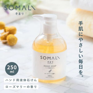 ؑΌ SOMALI \} ܂ nhpt̐΂ 250ml y { {g z { nh\[v A  lߑւ 􂢐΂ Ό ΂ VRf ێ VR ɗD Mtg v