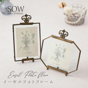 tHgt[ ʐ^  u^ cu C[[tHgt[ 킢 tHgX^h ʐ^ AeB[N AeB[N AeB[NS[h CeA G SOW \E 