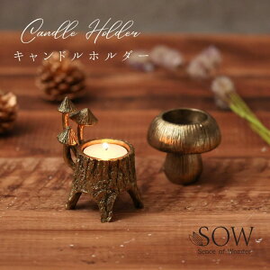 Lhz_[ AeB[N LhX^h AeB[N SOW G CeA fBXvC  }bV[ ̂ LmR  S[h Mtg v[g DRDF20