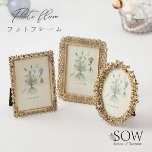 tHgt[ ʐ^  u^ cu 킢 tHgX^h ʐ^ CeA G SOW \E S[h  v[g LO a DRDS2360SW/2371SW/2373SW Sow006