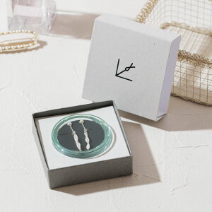 CO Ԃ Vo[ h ANZT[  킢  { `H| Hc׍H H[ E-YS 06 Ac004