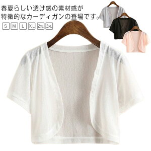 Ă΂  J[fBK VtH T}[J[fBK V[g  M l  p[eB[{ HD 񎟉  傫TCY 2XL  gbvX HD S { L XL J