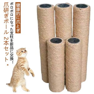 y2Zbgz Lbg^[p|[ L lR ܂Ƃ ܌ |[ ߂Ƃ ܌|[ L^[ ւ x ꊪ x ybgpi Lpi p|[ 6cm Iׂ