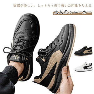 jOV[Y C tC ʊw   ČC ~C JWA EH[LOV[Y JWA ʋ U Xj[J[ HC Xj[J[ z ʋC y Y V[Y tB