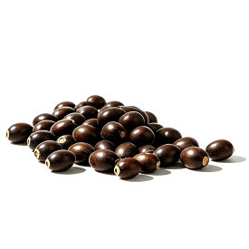 【今がお得！10％OFF】睡蓮の種 水に入れるだけ ハスの種 10粒＋予備2粒 菜蓮 蓮の種 観賞用ハス 蓮の花 ハスの花 水で育つ 水栽培 簡単栽培 初心者 発芽サポート 日本語説明書 ビオトープ メダカ鉢 水鉢 ベランダ 庭 水生植物