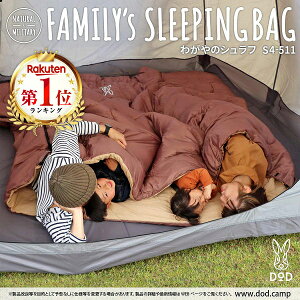 DOD Q Vt 킪̃Vt S4-511 dod Lv AEghA