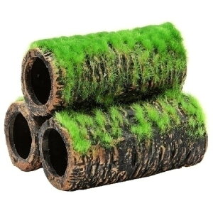 WFbNX GEX Șa̒ y M Ϗ܋pi