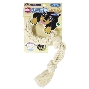 hM[} n~KLRbg [v S [̂]