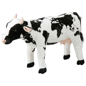 sf 82470 EV([h}bv) 8981-31 [J[