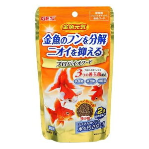 WFbNX CvoCIt[h 80g GT