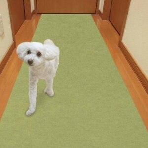 TR[ ybg}bg60×120cm O[ z ybg}bgLی}bg ybgp}bg z}bgp Lp p  SANKO