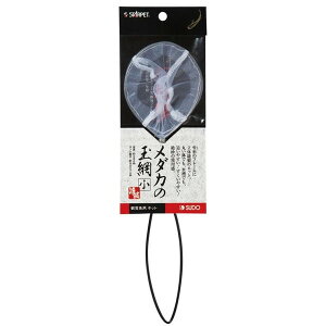 Xh[ _J̋ʖ  Ϗ܋p |p