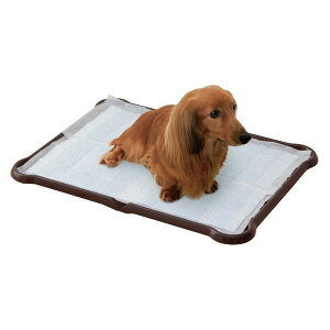 ACXI[} P-SPTW V[c҂ƃg[ Ch uE ybgp [J[