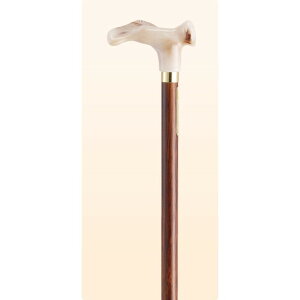 PCzXsA KXgbN  GA-55 Ep uE