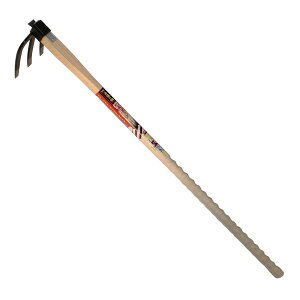 JlR ZObv ~jO{L 1050~ ̍|