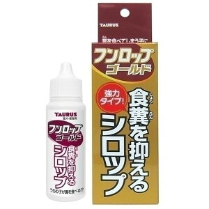 g[X g[X tbvS[h pi p ybgp