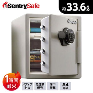  ω eʖ33.6L 1ԑω eL[ Sentry JF123ET VObN^Cv Œ A4t@C[ fBAω Mdi Ao CD f[^ ۊ ۑ ЊQ΍ rbO{gV[Y _