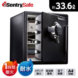 耐火・耐水金庫 1時間耐火・テンキー式 金庫 セントリー(Sentry) JFW123GEL ブラック ビッグボルトシリーズ レビューCP3000
