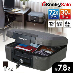 Zg[(Sentry) CHW20201 EH[^[v[t CWV[Y [|[^uω΁Ehۊǌ (30ω΁E72Ԗh) ]