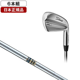 タイトリスト T100 アイアンセット 6本組 (#5-Pw) 2023年モデル True Temper Dynamic Gold スチールシャフト S200 【日本正規品】