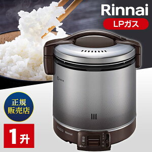 ъ 10 1 1 10 iC Rinnai RR-100FS(A)(DB) ܂ KXъ ssKX vpKX LPKX _[NuE V