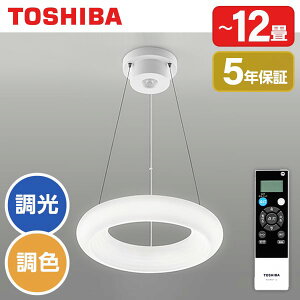  NLEP12000A-LC LEDy_gCg (`12/FE) Rt ChF 铔6iK߉\ ₷݃^C}[