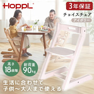 HOPPL �`���C�X�`�F�A �A�C�{���[ CH-CHAIR-IV �z�b�v�� ���[�J�[����