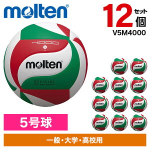 y12Zbgze o[{[ 5 o[{[4000 V5M4000