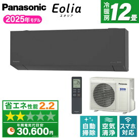 エアコン 12畳 パナソニック PANASONIC エオリア CS-365DEL2-H ダークグレー [ルームエアコン(主に12畳用・単相200V)]