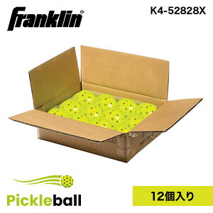 Franklin tN sbN{[ X-40 sbN{[ 12 PACK BOX K4-52828X USAPAF USI[vsbN{[I茠gp