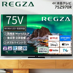 75Z970R TVS REGZA REGZA [75V�^ �n��EBS�E110�xCS�f�W�^�� 4K�`���[�i�[���� �t���e���r] �G�N�v�����I