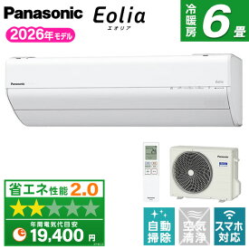 CS-226DGX-W PANASONIC クリスタルホワイト エオリア GXシリーズ [エアコン (主に6畳用)]