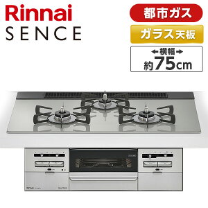 RS71W36T2RVW-13A Rinnai �Z���X [�r���g�C���K�X�R����(�s�s�K�X�p�E�������΃^�C�v�E3���E75cm)]