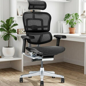 Ergohuman PRO2 high 445406 EHP2-HAM-DR-BF-BK �G���S�q���[�}�� �v��2 �n�C �V��� �w�b�h���X�g �����o�[�T�|�[�g �A�[�����X�g ���N���C�j���O ���b�V�� �։Ƌ� �Ɩ��p �����[�g���[�N �f�X�N�`�F�A 