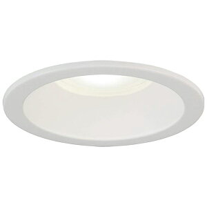 z^NX MRD10013(RP)BW3/N-1 [ LED_ECgi150@100W Fj ]