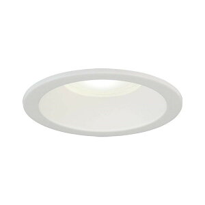 NEC MRD06014(RP)BW2/N-S1 [LED�_�E�����C�g�i��������125 60W���� �����F�j]