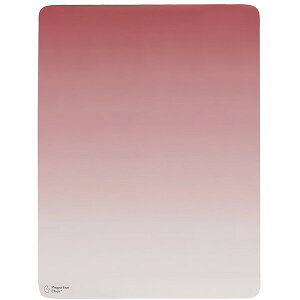 PMT-1290 PK {쏊 sN [v|[V`FA}bg] [J[