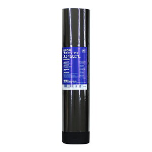 EPTT-02 aCY [EPDMX|W^t]