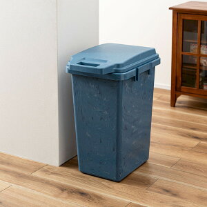 RSD-52 ���J [�����n���h�p�b�L���y�[�� 70L] ���[�J�[����