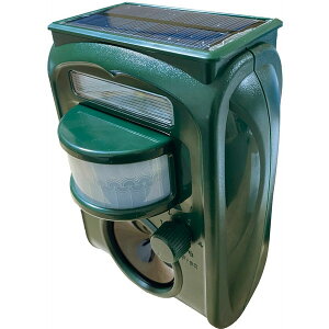 \[[[dQb쏜@ 1(04489) t@~[ECt O[ [J[