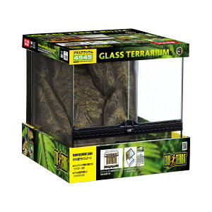 OXeE 4545 PT2605 WFbNX