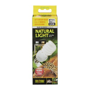 i`Cg PT2191 26W WFbNX