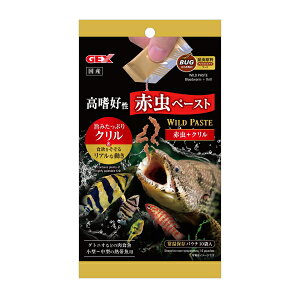 Chy[Xg Ԓ+N 10 WFbNX