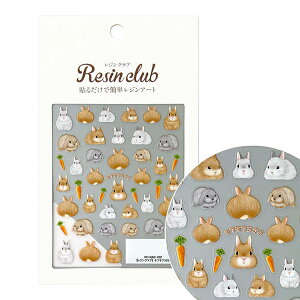 WNu WV[ tt(ʈ) RC-RAB-102 COJg